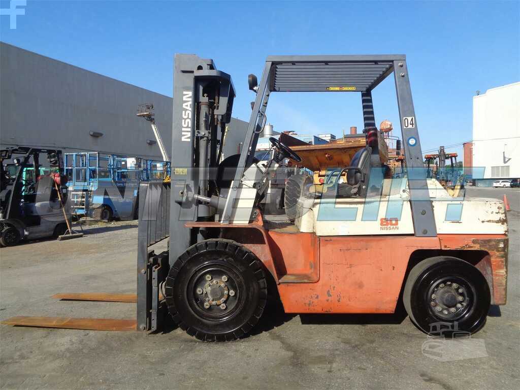 66684_4395669553206-1.jpg?v=1763366018