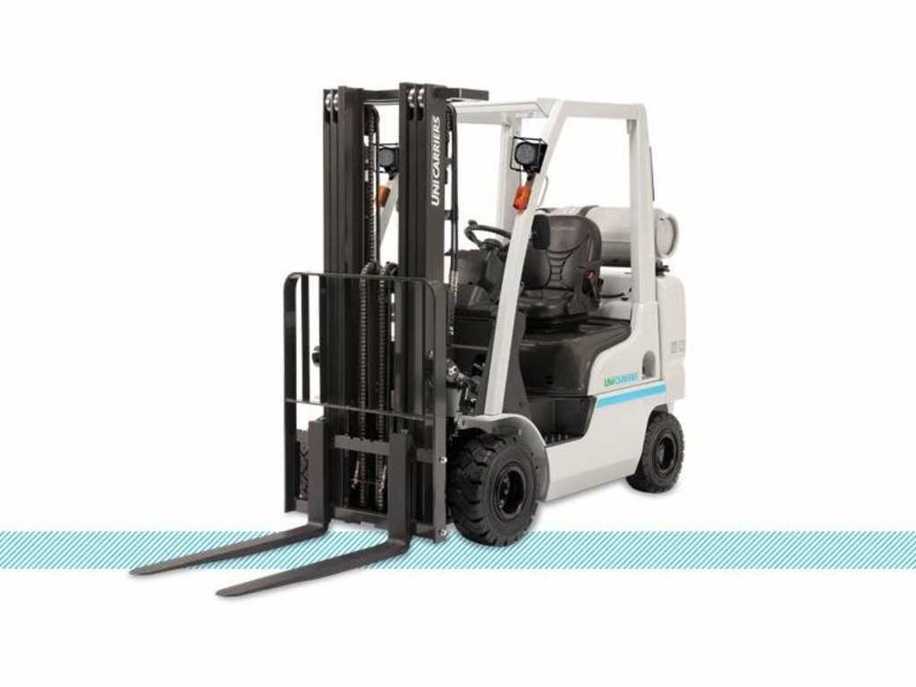 71979_11491025-1.jpg?v=1765348547