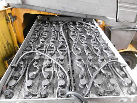 10381_1308736-7.jpg?v=1761539136