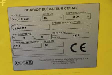 Empilhador a gás 2018  Cesab Drago E 250 (4)