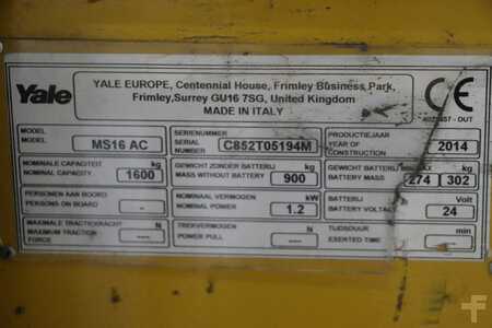 Magasemelésű béka 2014  Yale MS16 (4)