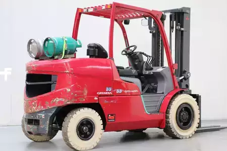 Gas gaffeltruck 2017  Mitsubishi FG55NT (2)