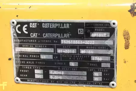 Treibgasstapler 2019  CAT Lift Trucks GP18NT (4)