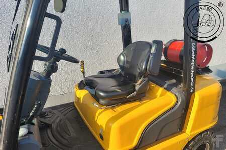 Carrello elevatore a gas 2020  Hyundai 30L-7A (7)