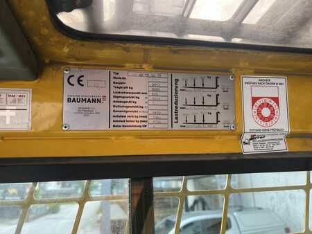 Sideloader 2013  Baumann HX 50/12/54 TR (6)