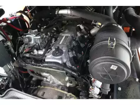 Gas gaffeltruck 2018  Doosan G25N-7 (8)