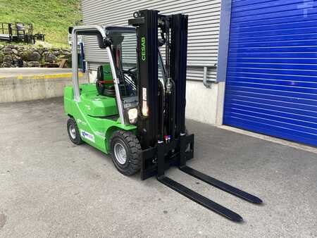 Diesel Forklifts 2023  Cesab M325DV (6)