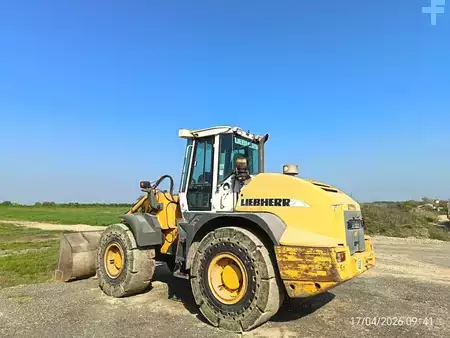 Sonstige 2006  Liebherr L538 (8)