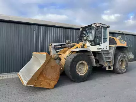 Pozostałe - Liebherr L556XP (1)