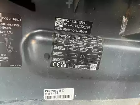 Treibgasstapler 2022  Linde H16T-01 (4)