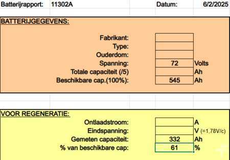 Elektro 4 Rad 2015  TCM FB30-8 (10)