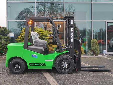 Empilhador diesel 2025 Günstig CPCD30 (3)