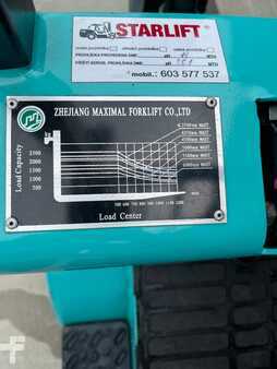 Dieselstapler 2010  Maximal FD25T (2)