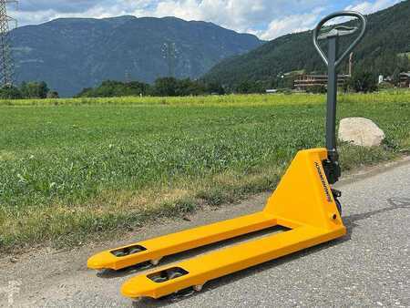 Electric Pallet Jacks 2022  Jungheinrich AM 20 - DOPPEL ROLLE (4)