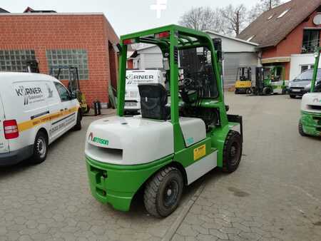 Carrelli elevatori diesel 2012  Artison FD30.48 (6)