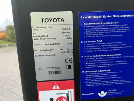 Prépateurs de commande horizontaux 2019  Toyota OSE 250 t-mote / 170h! (4)