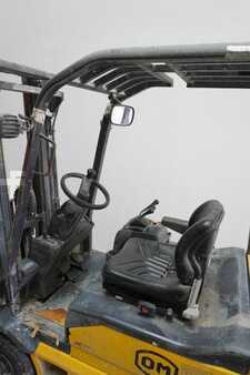 Elektro 3 Rad 2010  OM XE15 (3)