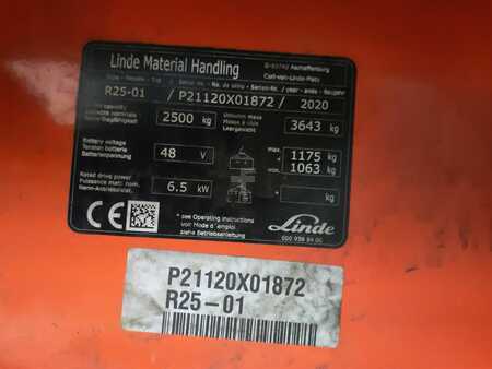 Skyvemast 2020  Linde R25 (6)