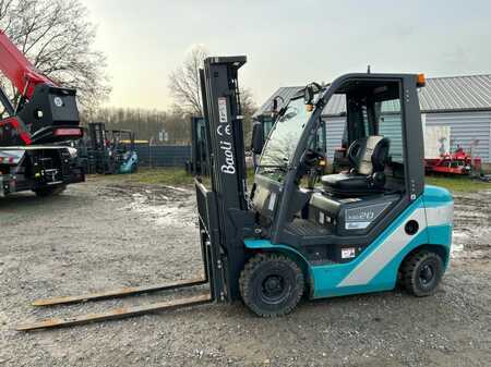 Diesel truck 2020  Baoli KBD20 (1)