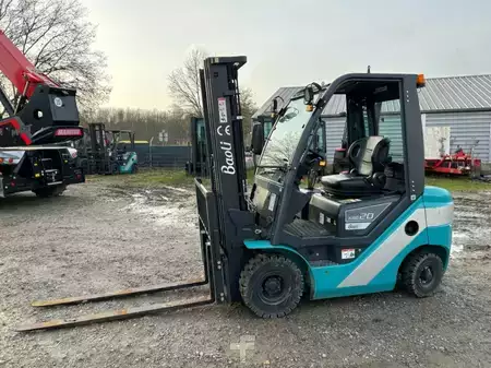 Dieseltruck 2020  Baoli KBD20 (1)