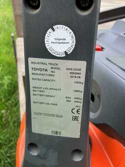 Stapelaars 2010  BT RWE120 (5)