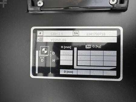 Elektrisk- 4 hjul 2025  AntOn CBH 2.5 Baujahr 2025/ DUPLEX / NEUFAHRZEUG (6)