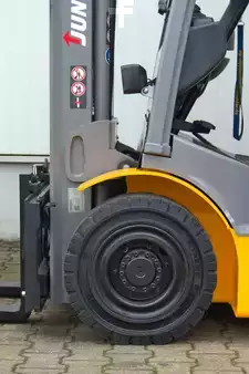 LPG Forklifts 2019  Jungheinrich TFG320 - Triplex (23)