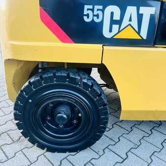 Gas gaffeltruck 2019  CAT Lift Trucks GP55N (27)
