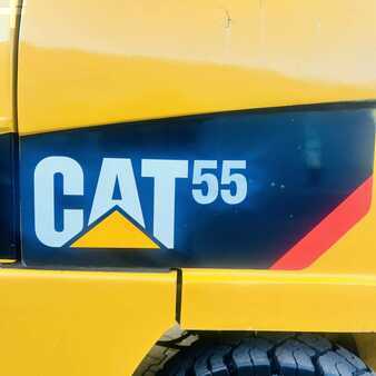 Gas gaffeltruck 2019  CAT Lift Trucks GP55N (35)