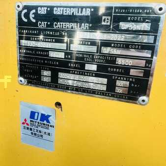 Gas gaffeltruck 2019  CAT Lift Trucks GP55N (36)