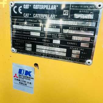 Gas gaffeltruck 2019  CAT Lift Trucks GP55N (40)