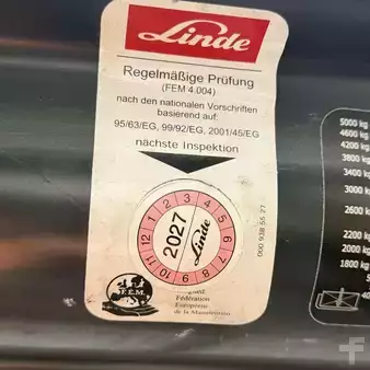 El truck - 4 hjulet 2018  Linde E50HL (388) (9)
