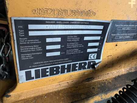 Miscelaneo 2015  Liebherr L514 (8)