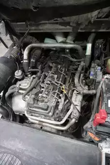 Diesel truck 2019  Unicarriers DG1F4A50Q (4)