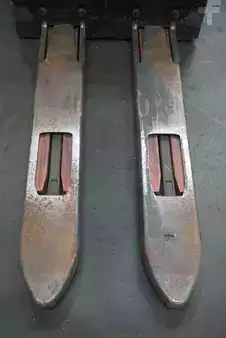 Stoccatori 2019  Linde D 14 AP (5)