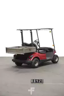 Platform trucks 2016  Yamaha JW9 (2)