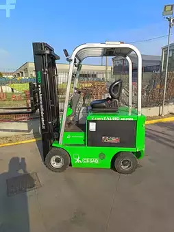 Altri 2013  Cesab CENTAURO 200  L (1)
