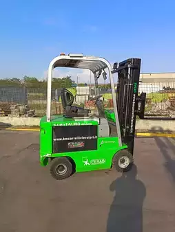 Altri 2013  Cesab CENTAURO 200  L (2)