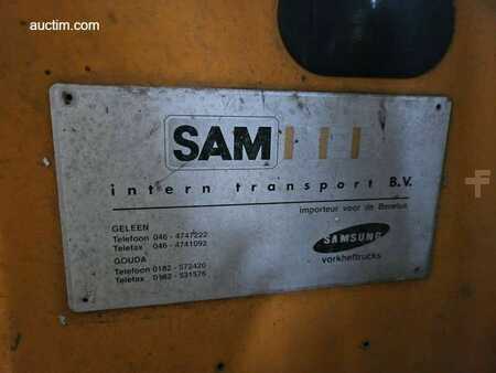 Propane Forklifts 1996  Samsung SE251 (9)