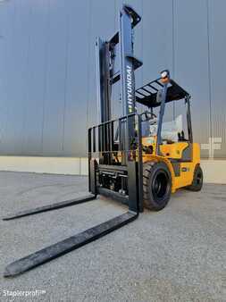 Overige 2024 Hyundai 30L-7A (1)