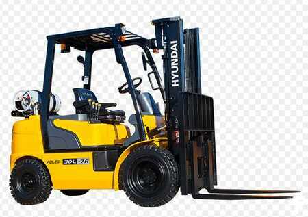 Overige 2024 Hyundai 30L-7A (1)