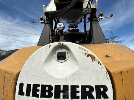 Reachstacker 2017  Liebherr LRS545 Intermodal (7)