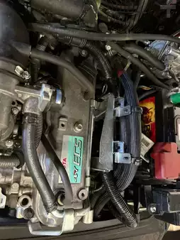 Gas gaffeltruck 2019  Toyota 11079 - 06-8FG20F (5)