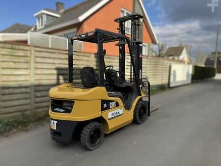 Diesel truck 2014  CAT Lift Trucks DP25NT (4)