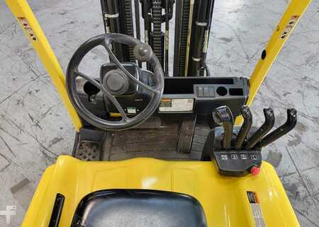 63435_7308-Ginger-9.jpg?v=1763050195