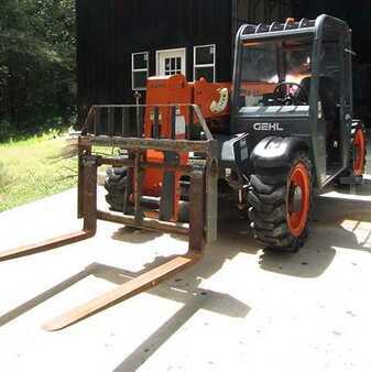 Manipulador fijo 2017  Gehl RS5-19 (1)