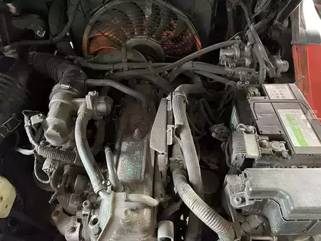 Gas gaffeltruck 2009  Toyota 02-8FGF30 (5)