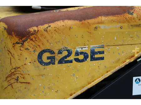 Carrelli elevatori GPL 2002  Daewoo G25E-5 (15)