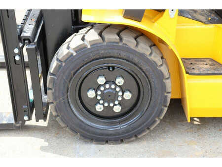 Dieseltruck 2024  [div] CPCD30 (13)