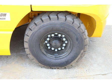Dieseltruck 2024  [div] CPCD30 (14)
